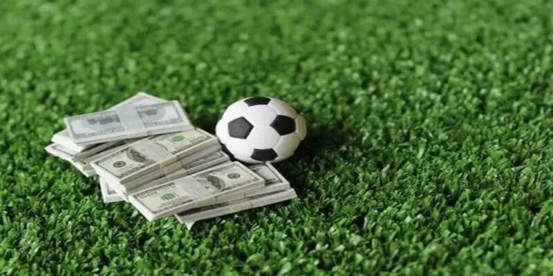 Điều Khoản Sử Dụng Tại BigBet88 Là Gì?