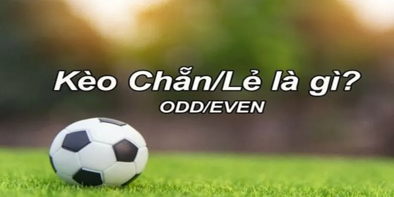Khái niệm Kèo Chẵn Lẻ là gì ?