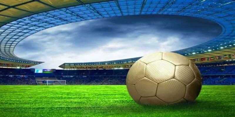 Quyền Lợi Khi Trở Thành Đại Lý