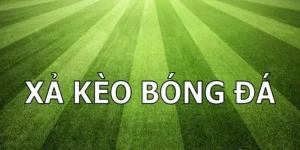 Tìm Hiểu Chi Tiết về Xả Kèo Là Gì và Cách Áp Dụng Trong Cá Cược